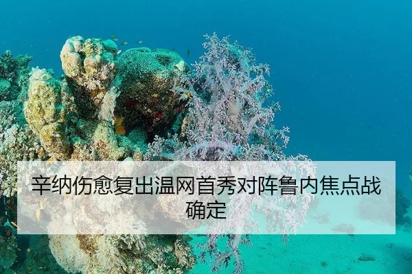 xin-na-shang-yu-fu-chu-wen-wang-shou-xiu-dui-zhen-lu-nei-jiao-dian-zhan-que-ding-2-460.jpg