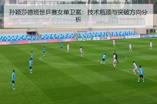 sun-ying-sha-de-ban-shi-ping-sai-nv-dan-wei-mian-ji-shu-ping-jing-yu-tu-po-fang-xiang-fen-xi-2-201.jpg