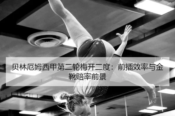 bei-lin-e-mu-xi-jia-di-er-lun-mei-kai-er-du-qian-cha-xiao-lv-yu-jin-xue-pei-lv-qian-jing-3-302.jpg